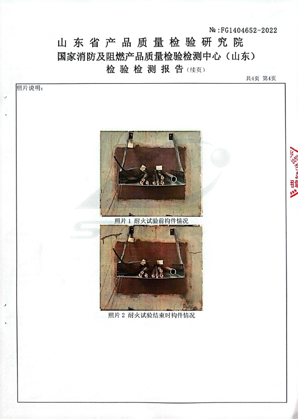 無機(jī)堵料DW-A3型式試驗報告